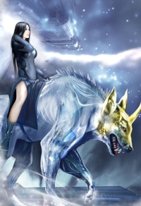 海贼之果实猎人