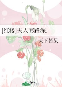 [紅樓]夫人套路深.