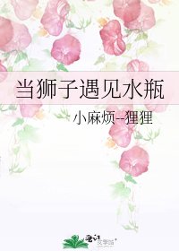 当狮子遇见水瓶